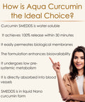 best curcumin supplement in india